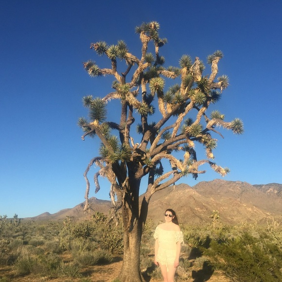 Meet your Posher, Sage - Picture 6 of 8